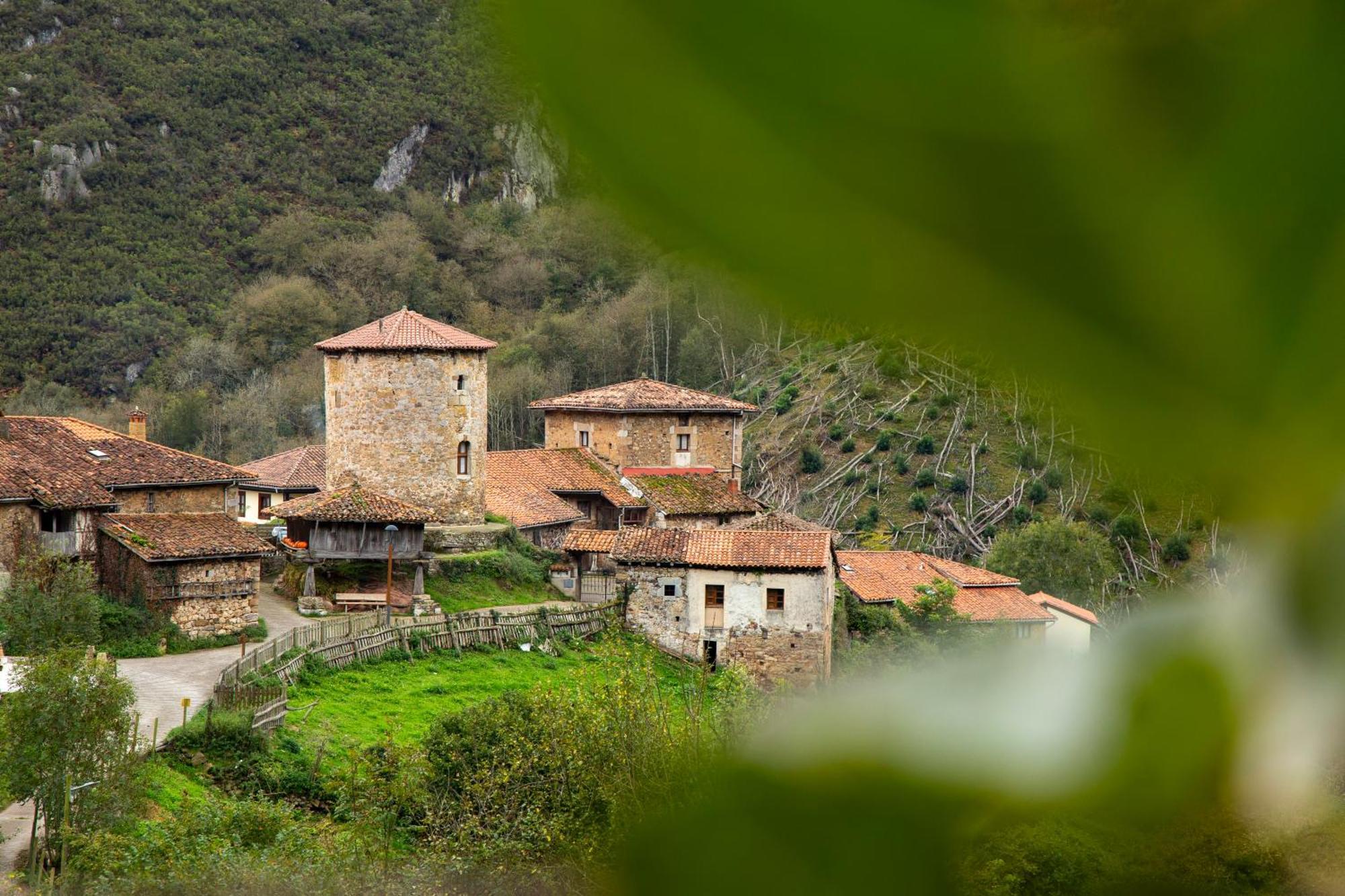 El Torreon - Las Casas Del Oso Proaza Extérieur photo
